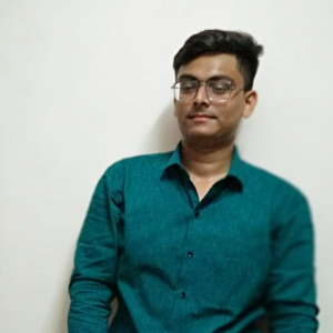 Mohammad Aakib Mansuri-Freelancer in Surat,India