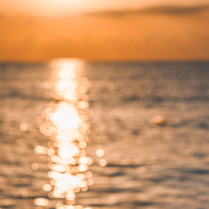 Anjali B-Freelancer in ,India