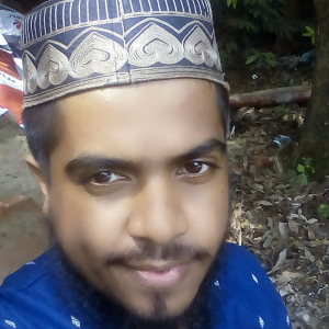 Syed Zulfikar Haider-Freelancer in Chittagong,Bangladesh