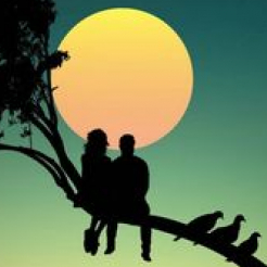Md Firoj Khan-Freelancer in Jalore,India