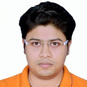 Biplab Bhattacharya-Freelancer in Kolkata,India