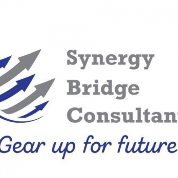 Synergy Bridge Consultants-Freelancer in Qatif,Saudi Arabia