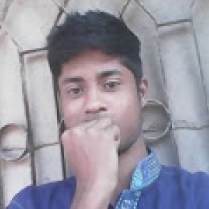 Partho Kumar-Freelancer in Rangpur,Bangladesh