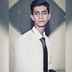 Syed Mujeeb Hussain-Freelancer in Karachi,Pakistan