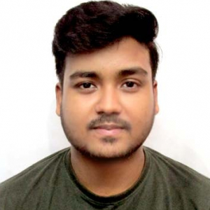 Subroto Pariya-Freelancer in Faridabad,India