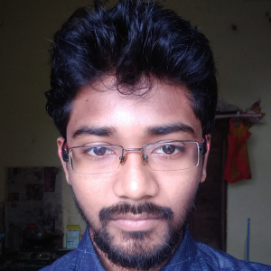 Pramit Kumar Das-Freelancer in kolkata,India