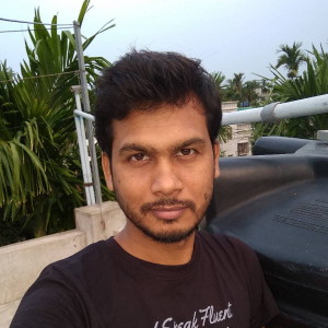 Sagar Biswas-Freelancer in Kolkata,India