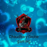Chaudhary Globe Gaming-Freelancer in Talaspur Kalan,India
