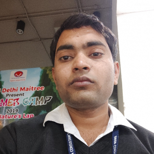 Ankit Raghav-Freelancer in ,India