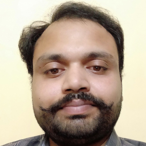 Pankaj Mittal-Freelancer in ,India