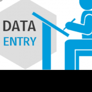 Najiya Nnn-Freelancer in Upleta ,India