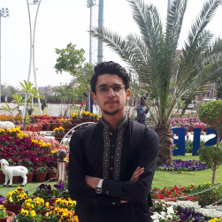 Muhammad Zeeshan-Freelancer in Multan,Pakistan