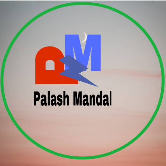 Palash Mandal