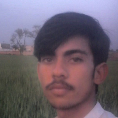 Muhammad Zeeshan-Freelancer in Muzaffar Garh,Pakistan