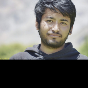 Irfan Ali Akhone-Freelancer in Srinagar,India