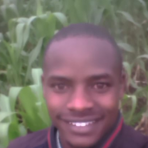 Vilton Kosgei-Freelancer in Nairobi,Kenya