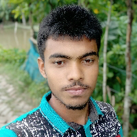 Nirjan Ray-Freelancer in Batiaghata,Bangladesh
