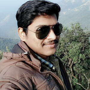 Avinash Daingade-Freelancer in ,India