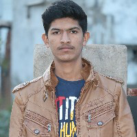 Parmar Vikas-Freelancer in Randheja,India
