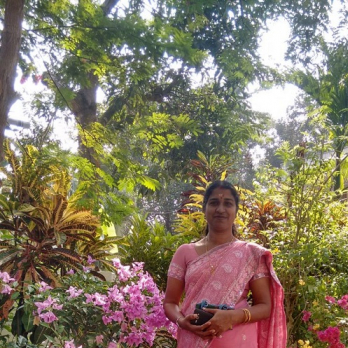 unni lakshmi-Freelancer in Ernakulam,India