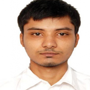 Deepak Vishwakarma-Freelancer in Bilaspur,India