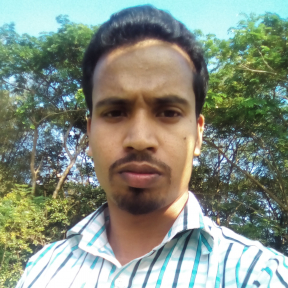 Md Parvez-Freelancer in Chittagong,Bangladesh
