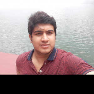 Himanshu Joshi-Freelancer in ,India