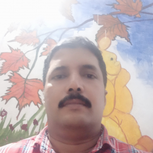 Sunilkumar Balakrishnan-Freelancer in PALAKKAD,India