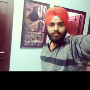 Prince Singh-Freelancer in Karnal,India