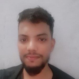 Ashish Chauhan-Freelancer in Delhi,India