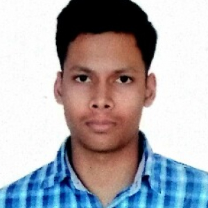 Mehul Singh-Freelancer in Delhi,India