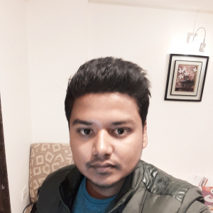 Himanshu Raj-Freelancer in PATNA,India