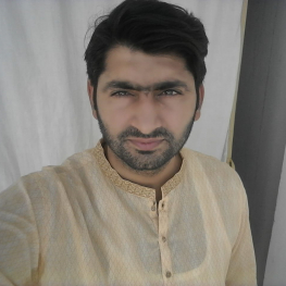 Muhammad Aamir Zia-Freelancer in Karachi,Pakistan