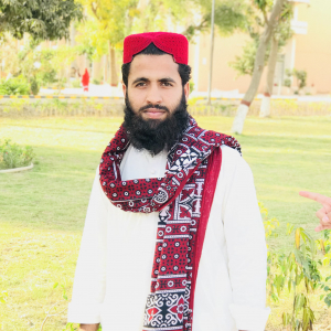 Muhammad Afzal Khan-Freelancer in Multan,Pakistan