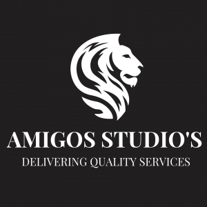 Amigos Studio's -Freelancer in Gurugram,India