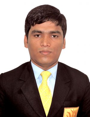 Nilesh Kumar-Freelancer in bangalore,India