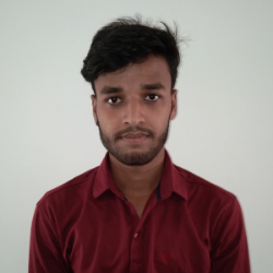 Pankaj Biswas-Freelancer in Nagaon,India