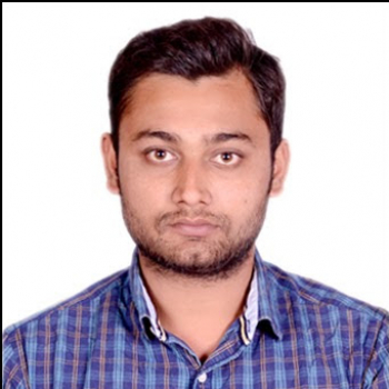 Aley S Naqvi-Freelancer in New Delhi,India