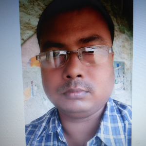 Prasun Biswas-Freelancer in ,India