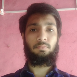 Shaikh Altaf-Freelancer in Bhokar,India