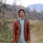 Ubaid Ali-Freelancer in Peshawar,Pakistan