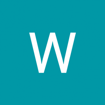 Truelancer profile picture for @wt