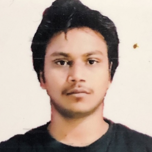Rajesh Ranjan-Freelancer in Patna,India
