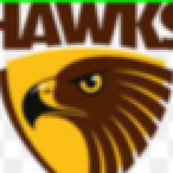 Truelancer profile picture for @hawks
