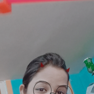 Laxmi Das-Freelancer in Kolkata serampore,India