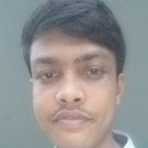 Rakibul Islam-Freelancer in Dhaka,Bangladesh