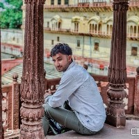 Pawan Singh-Freelancer in Kumher,India