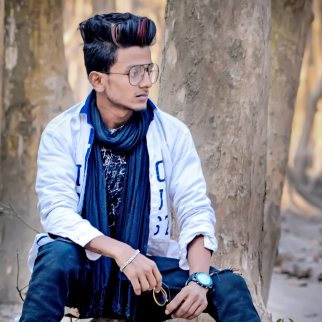 Prasanta Kumar Roy-Freelancer in Chakdaha,India