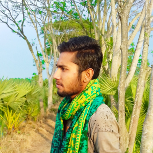 Md Abdul Latif-Freelancer in Tarash,Dhaka,Bangladesh