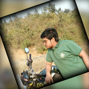 Dhananjay Pani-Freelancer in Rourkela,India